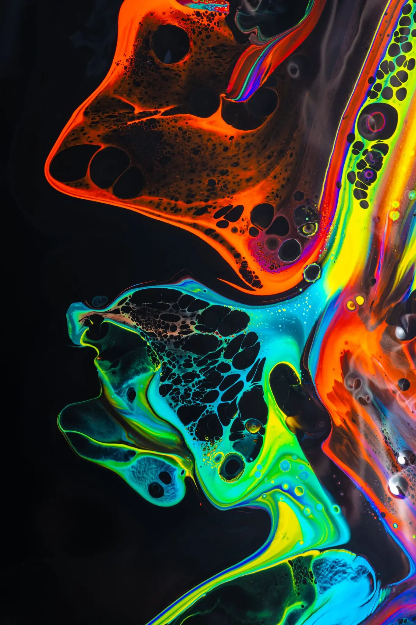Neon fluets