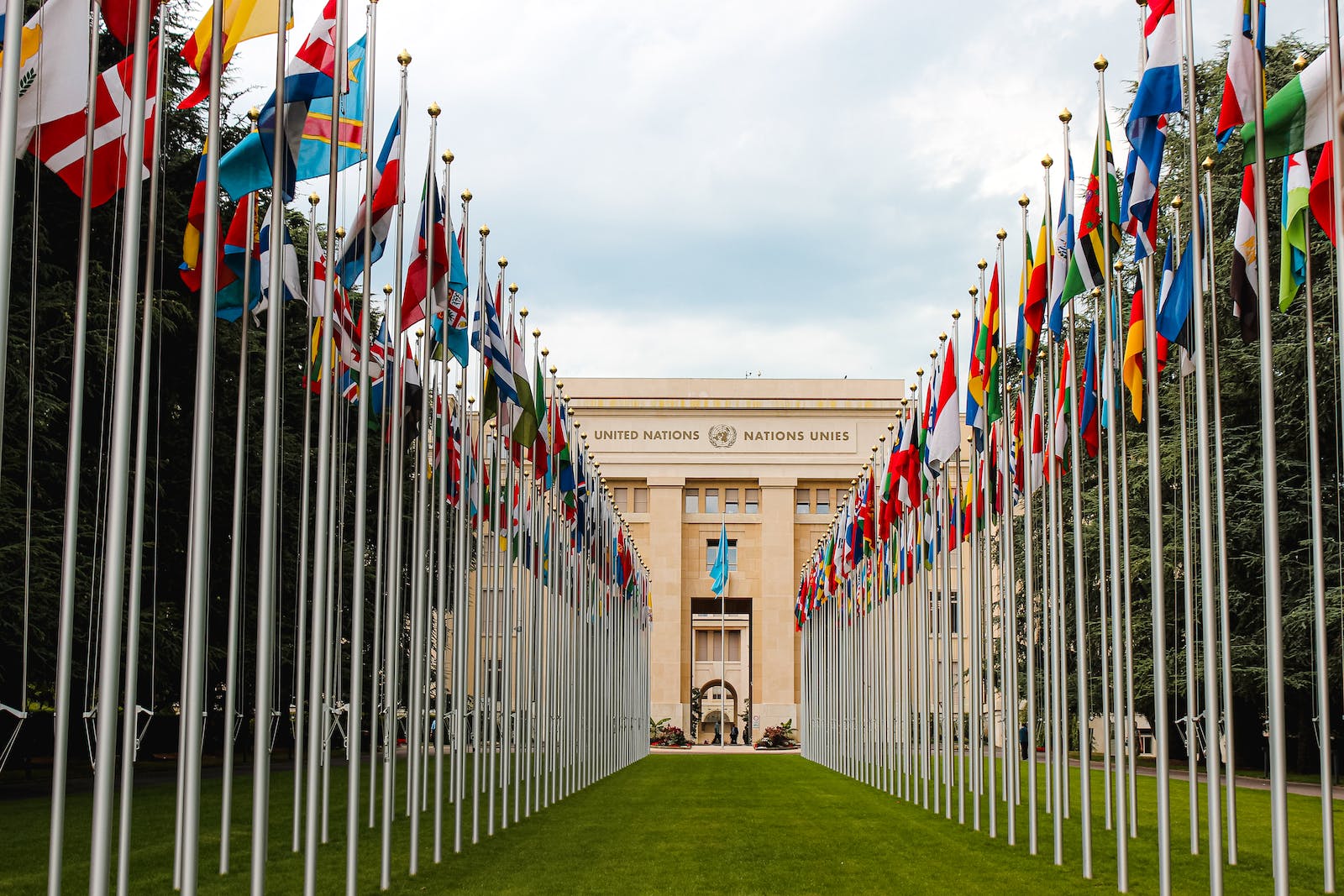 Read more about the article Open Letter to the United NationsTo the Secretary-General and relevant departments of the United Nations