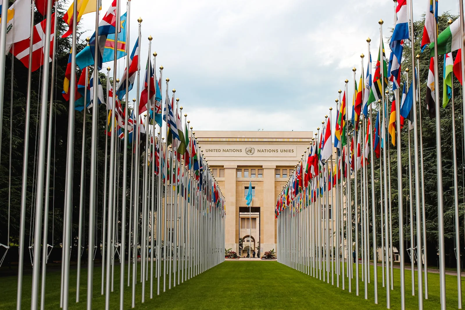 Read more about the article Open Letter to the United NationsTo the Secretary-General and relevant departments of the United Nations